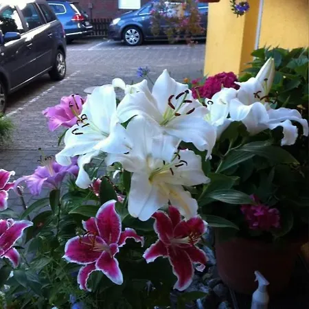 Neuses Hotel Cuxhaven